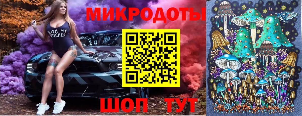 Галлюциногенные грибы Psilocybe  Вход с VPN  Вышний Волочёк 